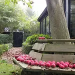 Vz2316 Vrijstaand Vakantiehuis In Oostkapelle